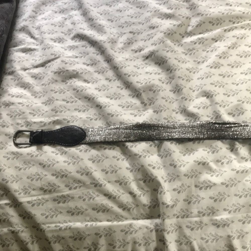Silver Elastic Belt